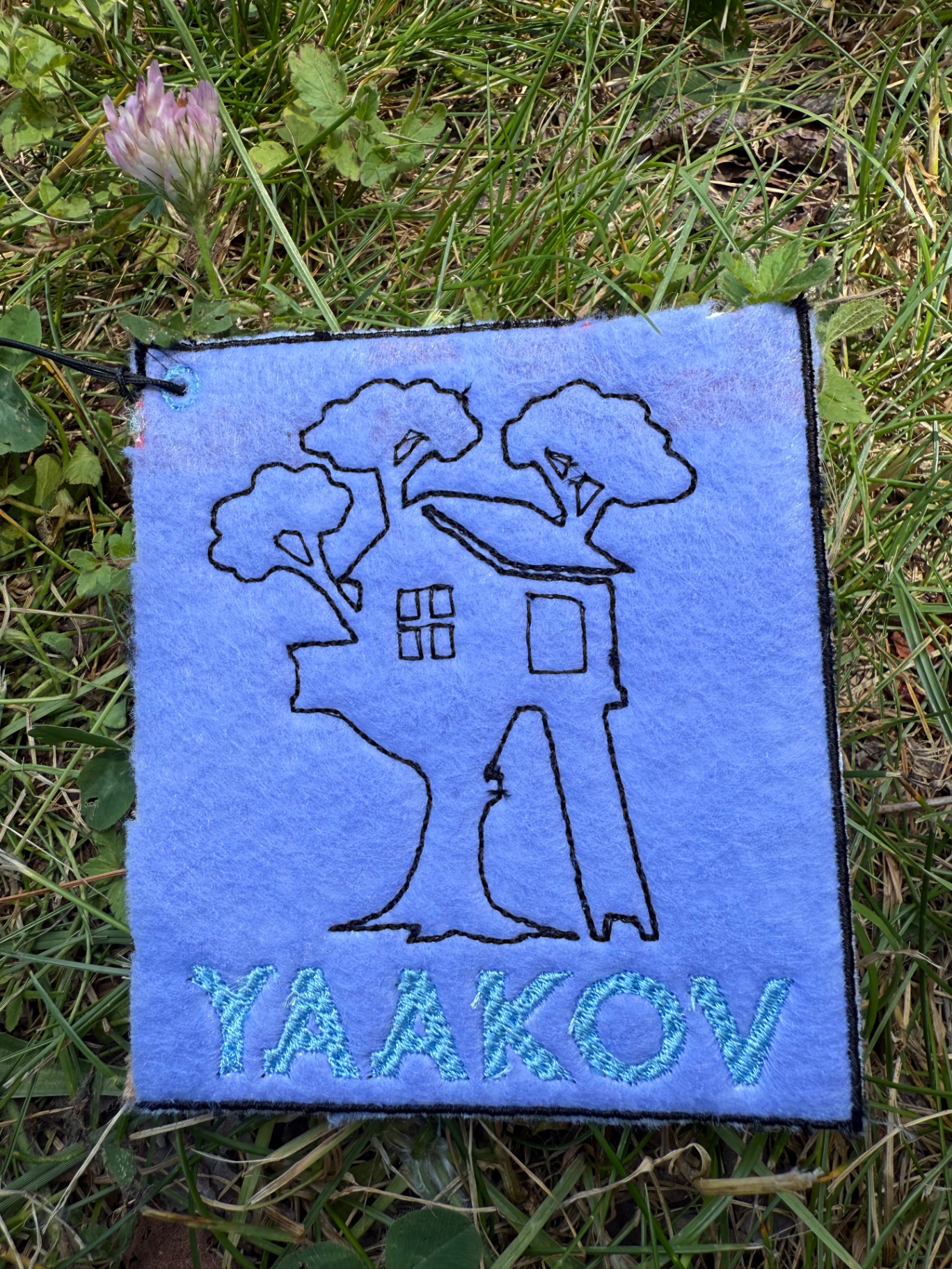 Yaakov's Treehouse